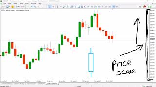 Pips and Pipette Measurement For Forex Beginner Traders [upl. by Formenti]