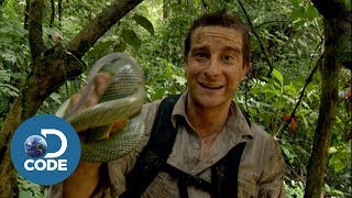 Bear Grylls in Borneo Jungle  Man vs Wild 46 [upl. by Filide]