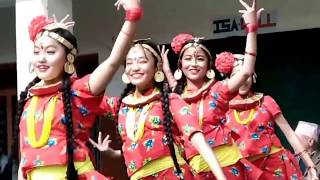 Nepali Cultural Dance lpresented by RK Production [upl. by Lester]