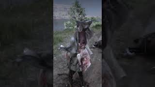 Thats a weird wolf carcass rdr2 [upl. by Lashar152]