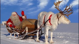 Père Noël amp rennes pour les enfants🦌🎅 les meilleures vidéos du Papa Noël Laponie Finlande Rovaniemi [upl. by Benito]