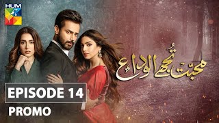 Mohabbat Tujhe Alvida Episode 14 Promo HUM TV Drama [upl. by Josie]