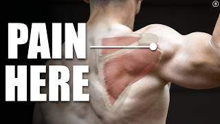 Rotator Cuff Tear Rehab amp Exercises Shoulder Pain Tendinitis Impingement [upl. by Nerahs]