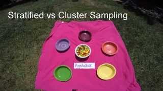 Stratified v Cluster Sampling [upl. by Einattirb]