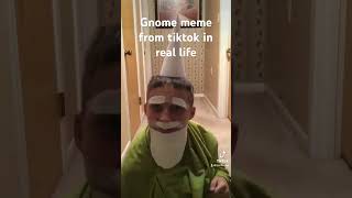 Gnome meme [upl. by Reinhard]