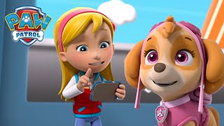 ¡Katie lidera a La Patrulla de Cachorros para detener a los gatitos que ladran PAW Patrol Español [upl. by Neeron]