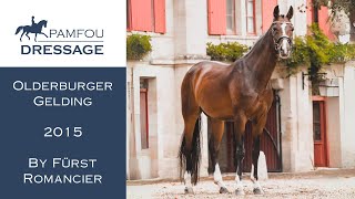 DRESSAGE HORSE FOR SALE  PSG  Inter I gelding  2015 [upl. by Noscire]