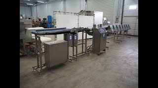 1671183 Scanvaegt weighing and batching line [upl. by Aisat]