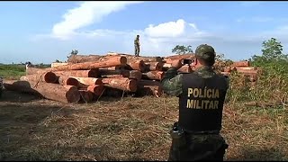 La déforestation de la forêt amazonienne atteint des records [upl. by Annohsal114]