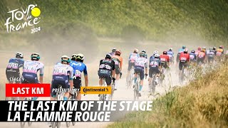 Last Km  Stage 9  Tour de France 2024 [upl. by Annoed]