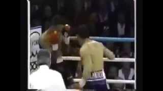 Julio Cesar Chavez Highlights [upl. by Argus]