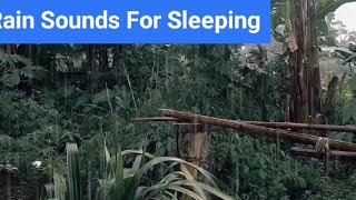 Rain Sounds For Sleeping 1 Hour  Relaxation Video [upl. by Perlman]