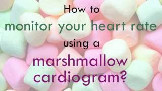 Marshmallow digital cardiogram [upl. by Oregolac]