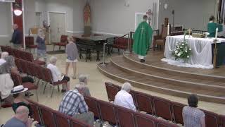 Tuesday November 5830 Mass celebrated by Fr Chris Piotrowski [upl. by Lajet]