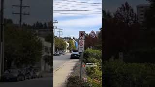 Along Esquimalt Ave in WestVan 🇨🇦 westvancouver vancouver shorts [upl. by Aneela56]