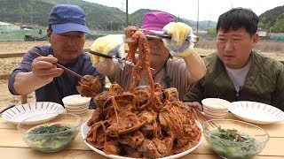 조개낙지새우 등등 푸짐한 해산물로 해물찜Braised Spicy Seafood 요리amp먹방  Mukbang eating show [upl. by Egief]