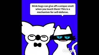 Trivia about stink bugs [upl. by Critchfield]