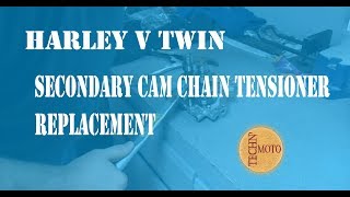 Harley V Twin Secondary Cam Chain Tensioner Replacement [upl. by Sukin688]