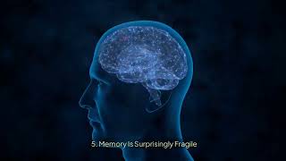 10 Fascinating Facts About How Human Memory Works The Science Behind Recalling the Past science [upl. by Gonroff]