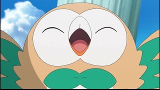 Rowlet being Rowlet🦉🍃 [upl. by Riggs]