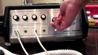 Fender Variable Delay Oil Can Echo Reverb TelRay Adineko [upl. by Einnos]