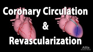 Coronary Circulation and Revascularization Animation [upl. by Nnov]