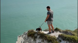 Dachshund loses his ball at the White Cliffs of Dover 🥎 [upl. by Phiona170]