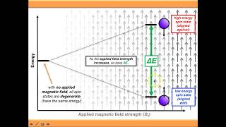 NMR Spectroscopy More Advanced Theory [upl. by Hardin]