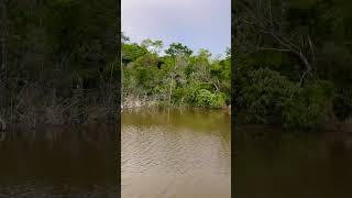 SÍTIO 22 HECTARES À VENDA EM SANTA CATARINA 49 998055440 [upl. by Stern]