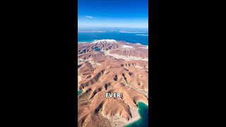 Socotra The Worlds Most Isolated and Mysterious Island shorts [upl. by Llertnor]