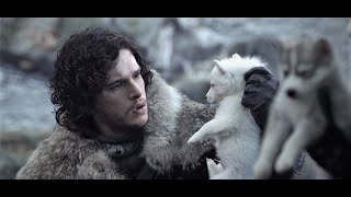 Game of Thrones S1  Dire Wolf Puppies One for each of Stark children quotYou will train themquot [upl. by Adnawt]