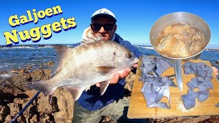 GALJOEN   CATCH CLEAN amp COOK  Hiking Fishing and Bait Collecting [upl. by Errot]