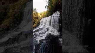 Sgwd Isaf Clun Gwyn Waterfalls ChasingWaterfalls Forest Autumn TheRealTwmBoii [upl. by Ecnerual]