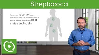 Streptococci – Microbiology  Lecturio [upl. by Ahsiel257]