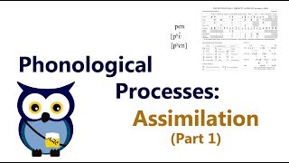 Phonological Processes Assimilation Part 1 [upl. by Imuya295]