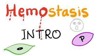 Hemostasis  How your blood clots  Overview [upl. by Assisi]