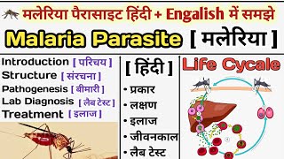 Malaria Parasite in hinid  Malaria Life Cycle  Plasmodium  Treatment of malaria  मलेरिया क्या है [upl. by Magnum]