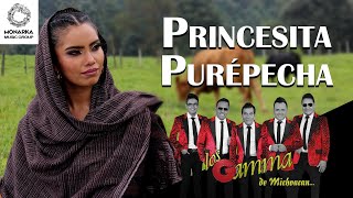 Los Gamma De Michoacan  Princesita Purépecha Videoclip Oficial [upl. by Gualterio]