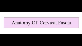 Anatomy of Cervical Fascia [upl. by Etiuqal]