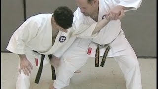 One Minute Bunkai Seisan Bunkai Series Part 6a [upl. by Nino]