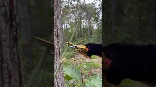 WOW SMART idea and USEFUL in forest camping bushcraft outdoor survival [upl. by Ahsinor]