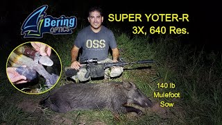 Super YoterR Bens 1st Mulefoot Plus 11 More Hogs [upl. by Cinelli]