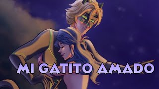 CUANDO ESTÁS CONMIGO  ESPINA DE ROSAS 🌹 Parte 7  Miraculous Ladybug Comic Español [upl. by Aitat]