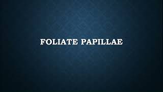 How to Pronounce Foliate Papillae [upl. by Figge]