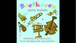 beethoven para bebes 10  relajacion y estimulacion de la inteligencia  embarazo  prenatal [upl. by Ernest]