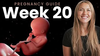 20 Weeks Pregnant  Week By Week Pregnancy [upl. by Castro]