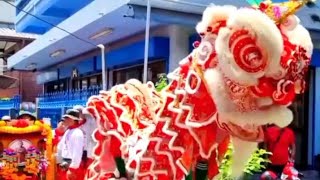 Parade Lion Dance Thailand [upl. by Nivled]