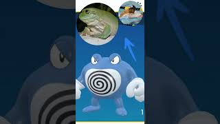 Poliwrath  Inspiração  pokemon poliwag poliwhirl poliwrath [upl. by Ahsiakal348]