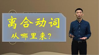 9 离合动词 Separable verbs in Chinese [upl. by Eirrem657]