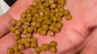 Nick Speed How To Prepare Expander Fishing Pellets [upl. by Luoar]